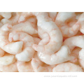 fresh frozen shrimp for sale